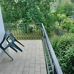 Le Mimose *