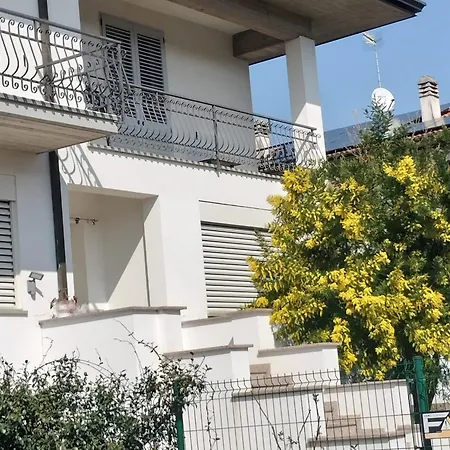 Bed & Breakfast Le Mimose *